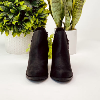 Not Rated Amiel Booties in Black